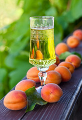 Sweet wine and ripe apricots
