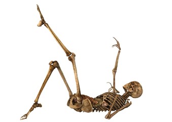 female skeleton with detailed anatomy organs