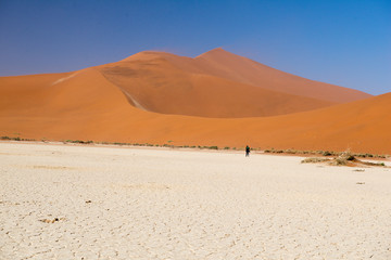Fototapeta na wymiar Dans le désert du Namib en Namibie