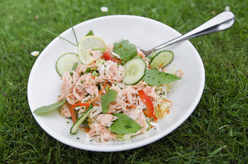 salade saumon - 67914507