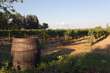 Weinbau Libanon