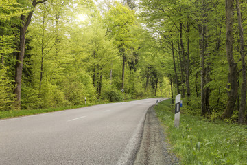 Landstraße durch Frühlingswald in Bayern