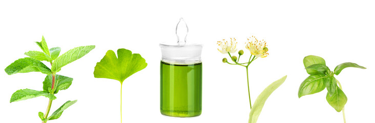 Collage of medicine bottle and herbs, isolated on white