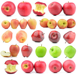 collection apple on a white background