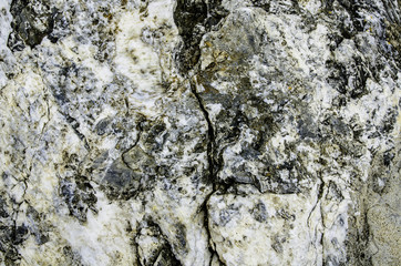 A close up of the surface of the grey stone