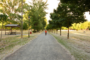 Fototapeta premium mujer caminando por un parque urbano
