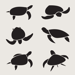 Vector group of turtle