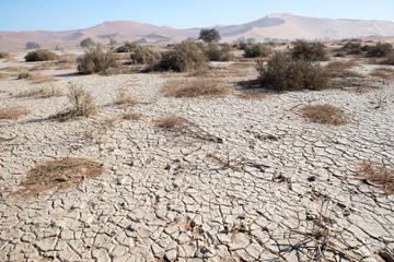D&eacute;sert du Namib en Namibie