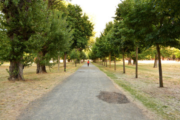mujer caminando por un parque urbano