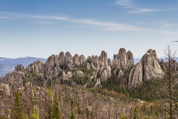 Black Hills, South Dakota