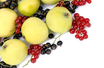 apples with red and black currant the isolated