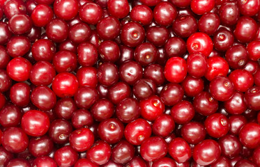 background from cherries