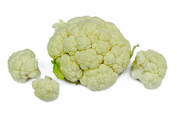 cauliflower on a white background