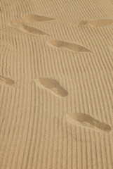 traces de pas dans le sable