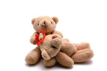 two toy bears on a white background