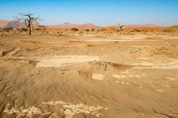 Désert du Namib en Namibie