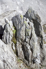 Fels - Faltengebirge