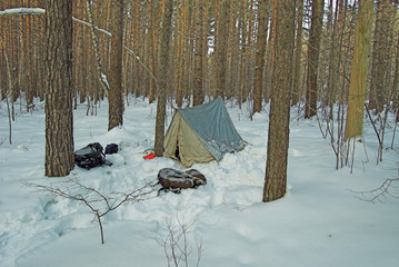 Tent in winter snow-covered forest