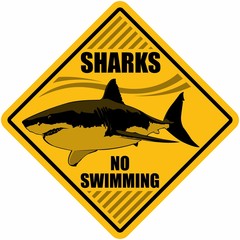 Shark no swimming