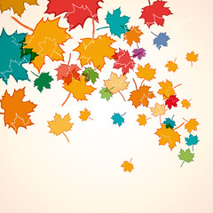 Vector autumn background