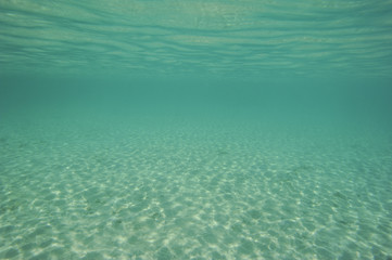 Fototapeta na wymiar Underwater scene in shallow lagoon