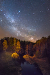 starry night over a small forest river