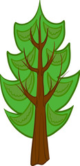 Illustration of conifer tree. Isolated