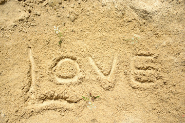 Word love written in the sand