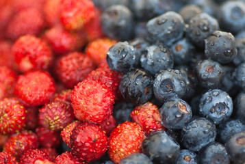 Fresh wet blueberries and wild strawberries.