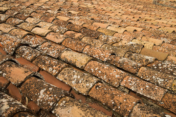 old red roof tile