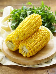 fresh boiled cob corn on a wooden plate © Olga Kriger