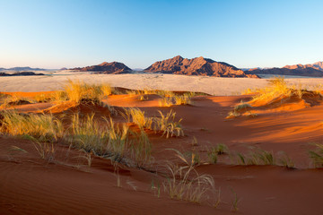 Ascension de la dune Elim en Namibie