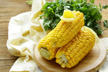 fresh boiled cob corn on a wooden plate © Olga Kriger