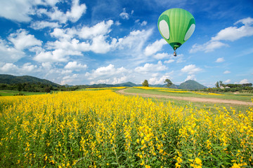 Naklejka premium Green hot air balloon over yellow flower fields with blue sky ba