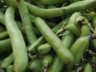 Green beans