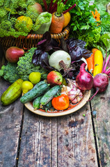 Fototapeta na wymiar natural fresh vegetables straight from the garden
