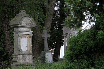 Historischer Friedhof Nienhagen (Detmold)