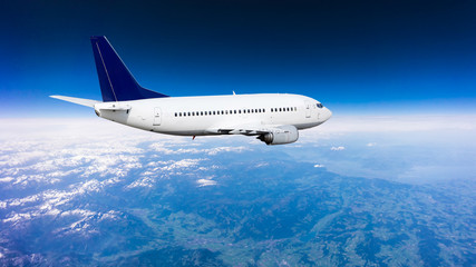 Fototapeta premium fresh, fruit,