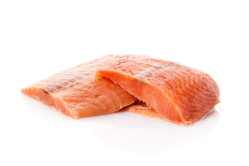 salmon fish