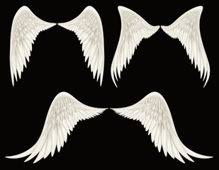 Angel Wings