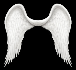 Angel Wings isolated against black background