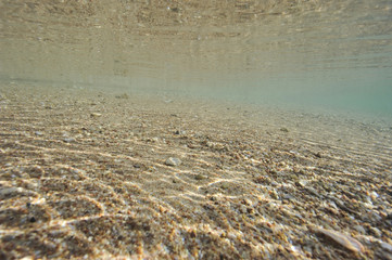 Underwater scene in shallow lagoon