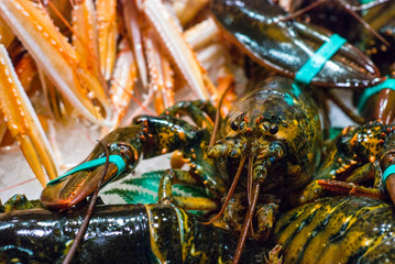 Fresh food market, Barcelona