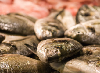 Fresh food market, Barcelona