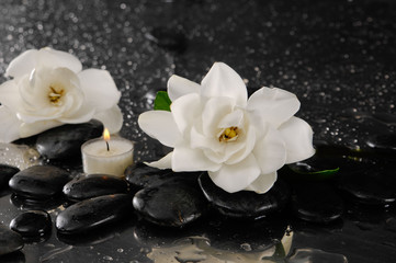 Two gardenia flower and candle on pebbles