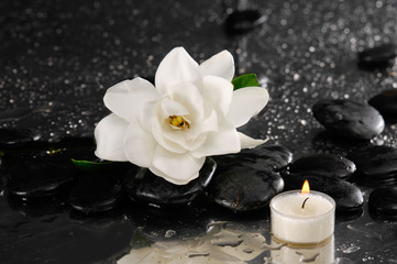 Obraz na płótnie Canvas gardenia and candle on pebbles –wet background