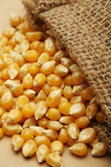 The grain corn in small sack