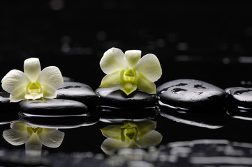 Spa still with two orchid and candle on pebbles