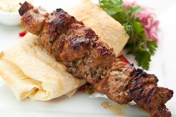 Hot Meat Dish - Shashlik