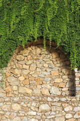 Brick wall and plant